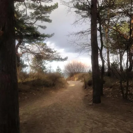 Дом отдыха Fredy